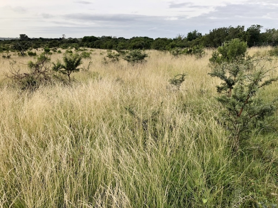 Commercial Property for Sale in Bathurst Rural Eastern Cape